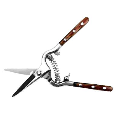 China Professional Anti-Slip Handle HOLSEN Stainless Steel Shears for Garden Garden Pruner Sharp Scissors for sale