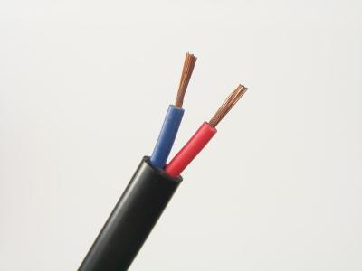 China Stranded Copper Flexible Cable Two Core And Earth Cable 300V/550V for sale