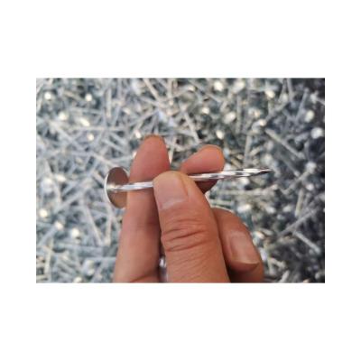 China Factory Price Wholesale Steel Wire Iron Joint Steel Polished Nail Nails for sale