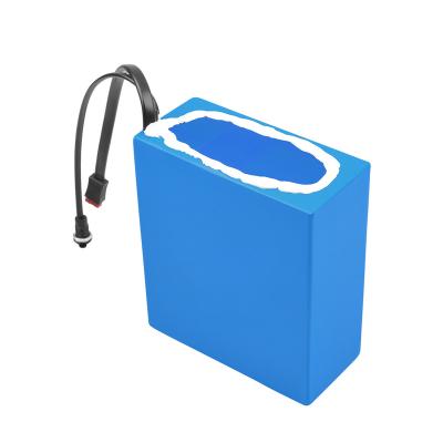 China 24v 36v 48v 25ah Electric Bicycle Bag Customized Portable Hanging Bag Spare Part ebike Battery Pack for sale