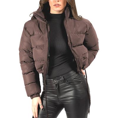 China FREE SAMPLE Anti-wrinkle Women's Winter Jacket Warm Stand Collar Long Sleeve Zip Up Short Coat Windproof Casual Outerwear for sale