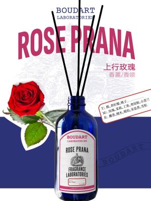 China ROSE PRANA Reed Diffuser Aldehydes and Freesia for Natural Glass Bottle for sale