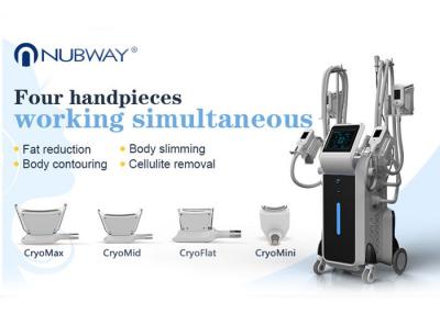 China CE ISO Approved -15 Celsius strong cooling system cool shaping cryolipolysis machine 4 handles for sale