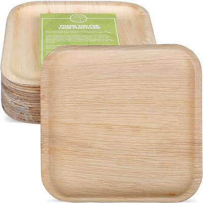 China Place Approved Disposable Biodegradable Palm Leaf Dishes for sale