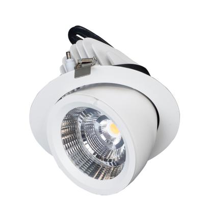 China Canton Manufacturer Supermarket Clothing Store CE RoHS Certificate 10w 20w 30w 40w 50w Indoor Lighting Cob Led Light Down Light for sale