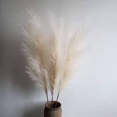 China Wholesale 83mm Large Touch Natural White Silk Color Fake Pampas Grass Tubular Branch Dry Pampas Grass for sale