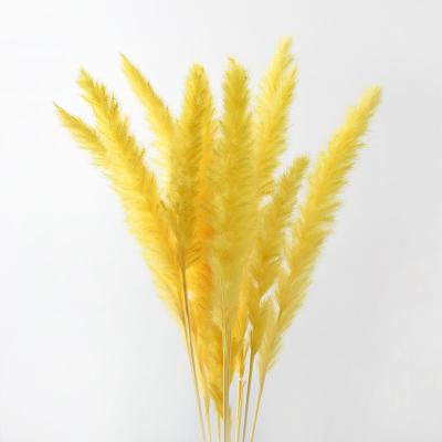 China Customized Hot Selling Romantic Pampas Grass Eco-friendly From Amazon China Funcyflora For Flower Wedding Aisle for sale