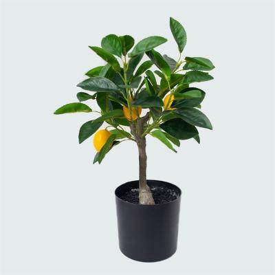 China Eco-friendly Artificial Outdoor Plastic Branches Plant Wedding Decoration Christmas Tree Glass Lemon Tree Lemon Tree for sale