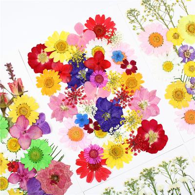 China Multiple 30 Flower DIY Materials Classic Mixed Dry Earrings Necklace Wooden Cake Pressed Real Flowers for sale