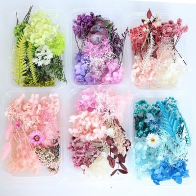 China Handmade diy flowers package, hydrangea forever gift bougainvillea dried flowers fragrant flowers for sale