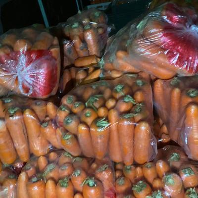 China Fresh China Manufacturer Supplier Fresh Organic Vegetable Carrot for sale