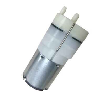 China Family homes carefully selected materials mini micro DC vacuum pump small vacuum pump for sale