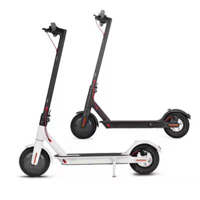 China 36v 6ah Unisex Kids Model Scooter 8inch Solid Tire Low Price Electric Scooter for sale