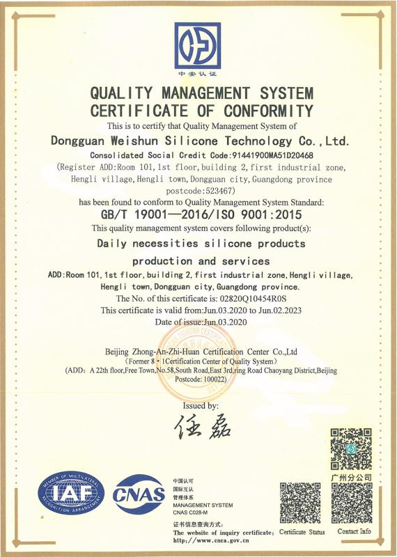 ISO9001 - Dongguan Wei Shun Silicone Technology Co., Ltd.