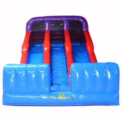 China Commercial Double Lane Inflatable Dry Slide for sale