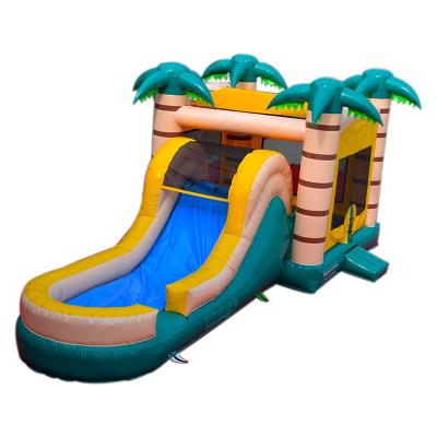 China Commercial Tropical Water Jumper Inflatable Bouncer Jumping Bouncy Combo Castle Bounce House Dry Wet With Slide for sale