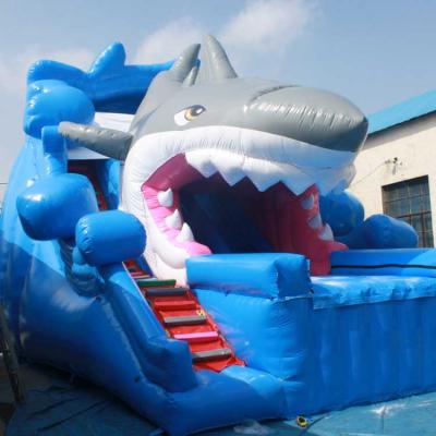 China Commercial Giant Inflatable Shark Water Slide Amusement Park Outdoor Waterslide For Swimming Pool for sale