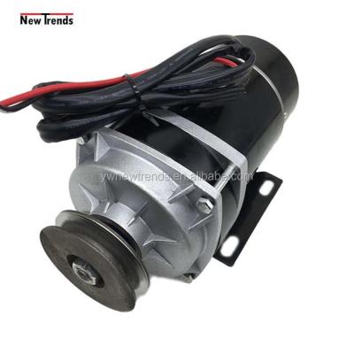 China Tricycle Unite MY1020ZXFH 24V36V48V 450W Brushed DC Motor Battery Hydraulic Pump Driver For Industry Application for sale