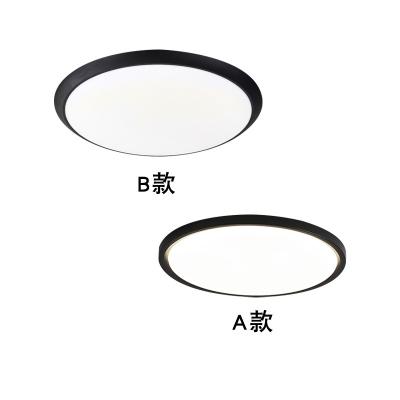 China Surface Mounted Modern Simple Wrought Iron Study Furniture Lighting Aisle Hallway Porch LED Bedroom Ceiling Lamp for sale