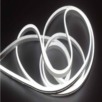 China LANDSCAPE Decoration DIY Waterproof Flexible Silicone Light Strip LED Neon Lights Bedroom Neon Sign for sale