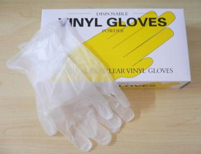 China Powder Free or powdered Disposable vinyl Gloves, protection PVC glove, ISO CE approved. for sale