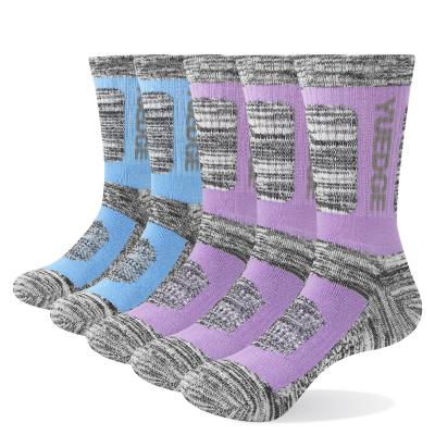 China Fashion Breathable High Quality Style Increasing Trekking Socks Breathable Sports Casual Socks Cushion Socks for sale