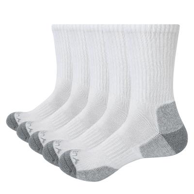 China Factory Wholesale Sports Socks Breathable Casual Dress Socks Comfortable Cotton Socks for sale