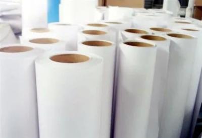 China 75mic Vinyl Film PP Synthetic Paper Roll for Frozen Food Label for sale