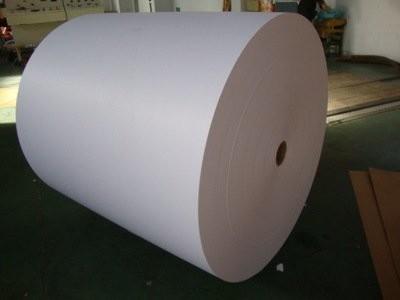 China Factory  Tyvek Paper Roll Direct Sales Wholesale 1443r Pu Coated Wrist Bands Printer Paper Rolls for sale