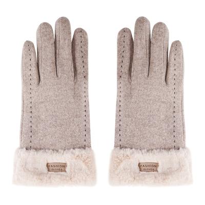 China Four Seasons High Quality Waterproof Breathable Insulated Bottom Glove for sale