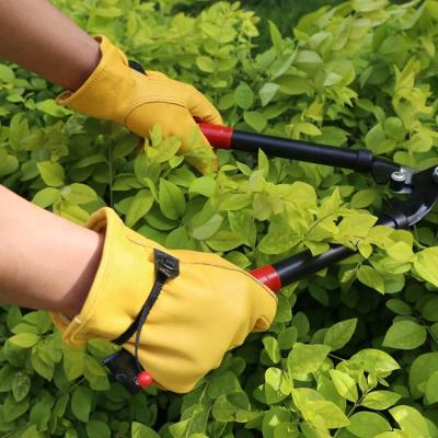 China Gujia ODM Comfortable Cutting Protection Noting HPPE Wood Cutting Forest Work Wrist Cowhide Winter Protective Gardening Working Gloves for sale