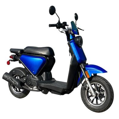 China Cheap price 50CC 125CC 150CC gas scooter adult gas scooters for sale 4.8 (L) for sale