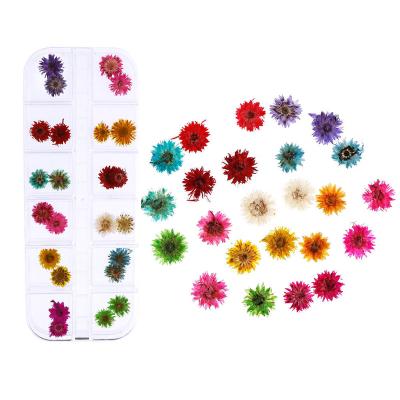 China Nail Decoration Design Art Jewelry New Dried Flowers DIY Dehydration Color Nail Glitter Flowers for sale