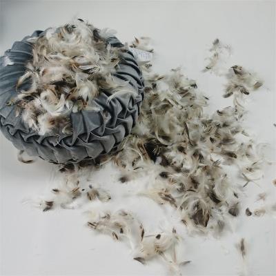 China Factory Made Washed Filling Natural Goose Duck Pure Feather Fiber Washed High Down For Pillow Quilt Use for sale