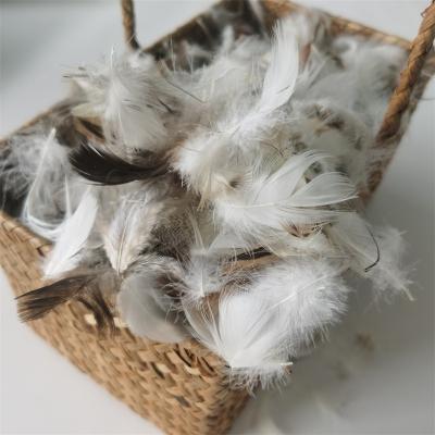 China Factory Wholesale Washed Natural Raw Fiber Duck Pure Gray Feather Goose Down Insert For Pillow Quilt Use for sale