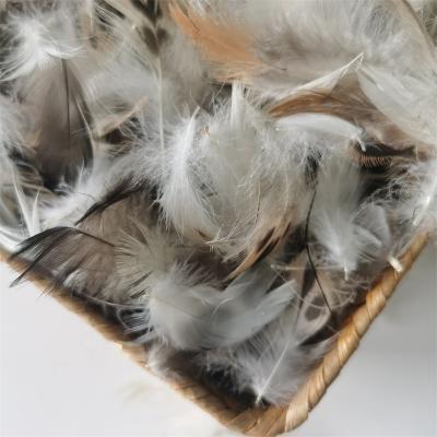 China Top Fill Cheap Washable Washed Gray Goose/Duck Feather Down Pieces Insert Pure Natural For Pillow Quilt Use for sale