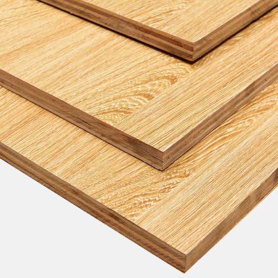 China Factory Direct Selling Modern High Quality Melamine Board Eco Friendly Board for sale