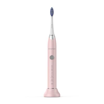 China Dupont 3D Soft Stiffens Care Appliances Electric Toothbrush Oral Toothbrush Charging Waterproof Rechargeable Adult Toothbrushes for sale