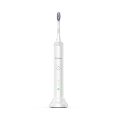 China Customized Private Label OEM Ultrasonic Rechargeable Smart Slim Electric Toothbrush For Adults T3 for sale