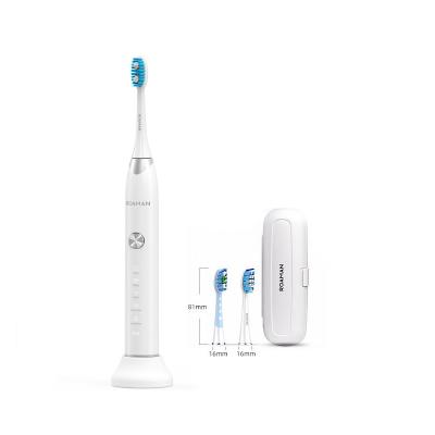 China 60--180 Minutes 48000 Power Sonic Toothbrush Rechargeable Toothbrush For Adults for sale