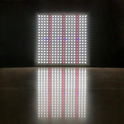 China Seed Starting Family Farm 2022 Led Growing Board Horticulture LED IR Panel Light 100 Watt UV Waterproof Plant Lamps For Sale for sale