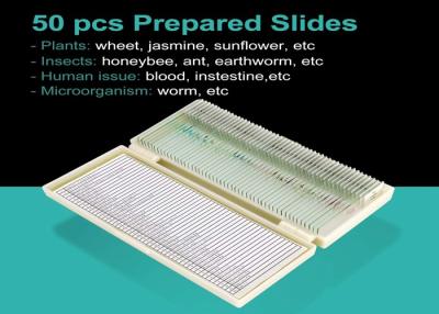 중국 준비된 직업적인 기생충학은, 42pcs 현미경 유리 슬라이드 미끄러집니다 판매용