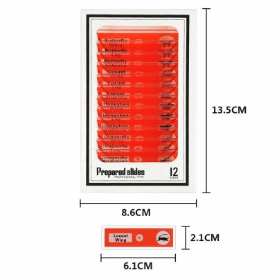 China O microscópio plástico da transparência alta desliza 48pcs com bordas seguras à venda