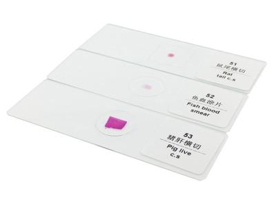 China Die vorbereitete Biologie der hohen Qualität schiebt Ausbildungs-Gebrauch des Histopathology-100pcs zu verkaufen