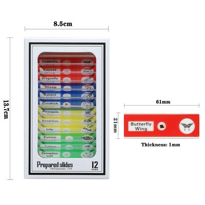 China As corrediças educacionais do microscópio do quadrado 48pcs dos brinquedos das crianças combinaram 4 cores à venda