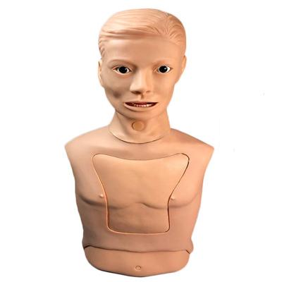 China Cpr de alimentación del maniquí de la intubación del tubo de Nasogastric medio cuerpo para el entrenamiento médico en venta