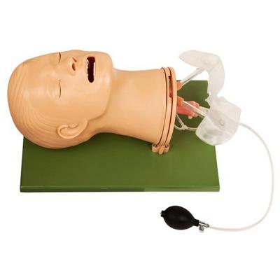 China Volledig - het functionele Cpr-Model van het de Luchtroutebeheer van Opleidingsmannequins Te koop