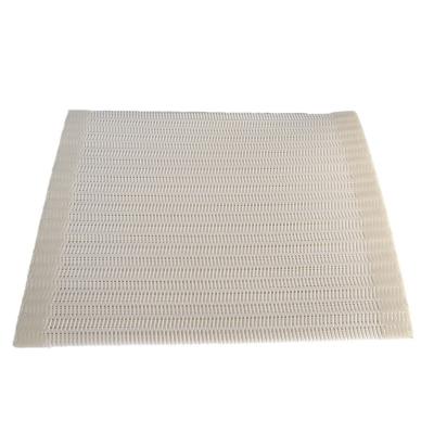 China Wear resistant Various Durable Using Polyester Desulfurization Wire Plastic Mesh Conveyor Belt for sale