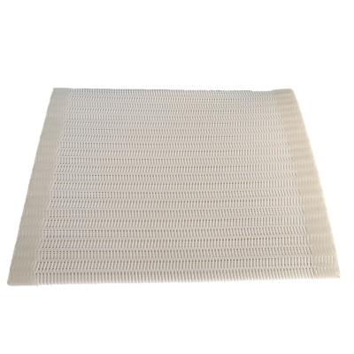 China Wear resistant Factory Sale Various Wholesale Filter Cloth Mesh Polyester Desulfurization Belt for sale