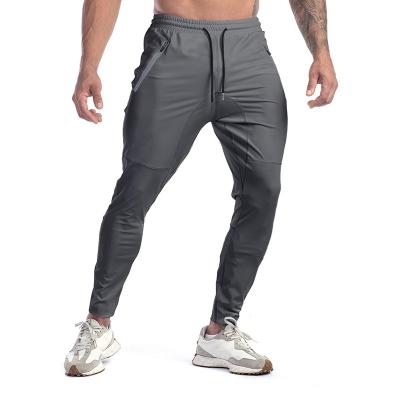 China Slim Men's Trains Gym Pants Anti-Wrinkle Spring Men's Fitness Pants Joggers High Running Bound New Quick Dry for sale